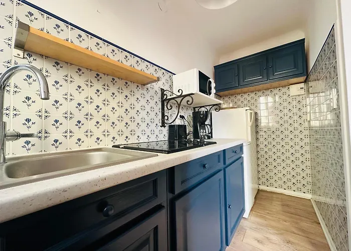 T2 Au Coeur De Avec Balcon Et Wi-fi - Fr-1-309-482 * Collioure