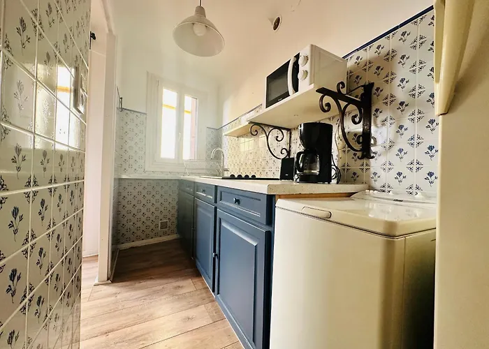 T2 Au Coeur De Avec Balcon Et Wi-fi - Fr-1-309-482 Daire Collioure